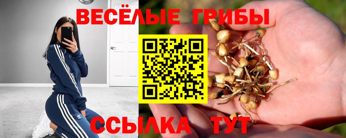 Псилоцибиновые грибы мицелий  Вход с VPN  Люберцы 